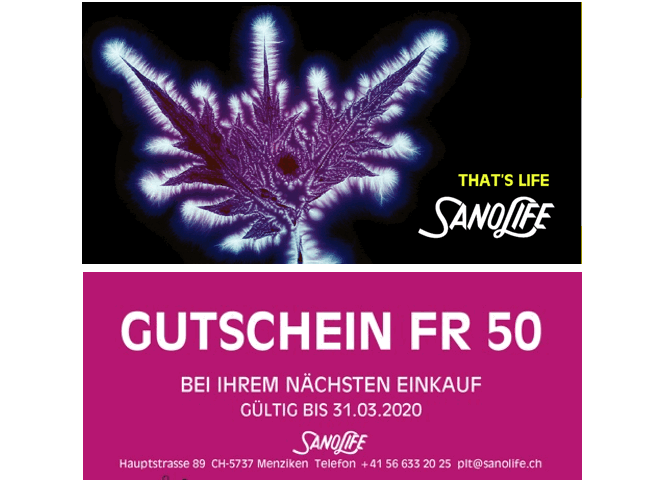 weihnachten2019 1